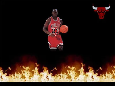 Chicago Bulls NBA FANS screenshot 7