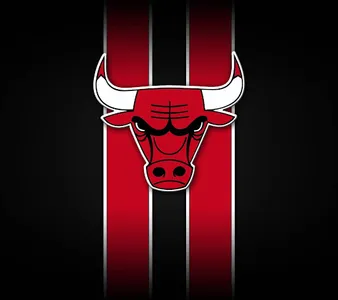 Chicago Bulls NBA FANS screenshot 8