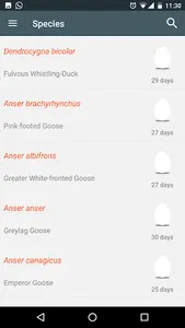 Bird Breeder screenshot 2