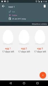 Bird Breeder screenshot 3