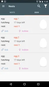 Bird Breeder screenshot 4