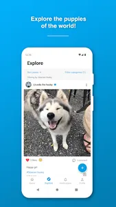 Woof screenshot 1