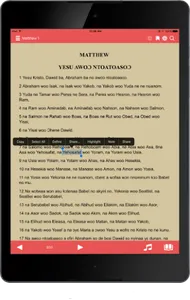 Twi Bible Audio screenshot 10