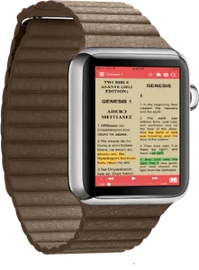Twi Bible Audio screenshot 15