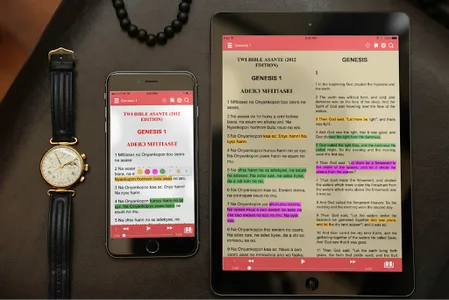 Twi Bible Audio screenshot 7