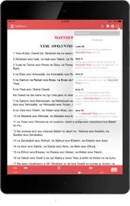 Twi Bible Audio screenshot 8