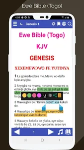 Ewe Bible Togo screenshot 0