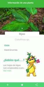 Circuito Etnobotanico screenshot 5