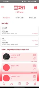 Mason Aces: Local Nannies screenshot 0