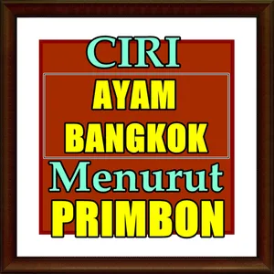 Ciri ayam bangkok Menurut Prim screenshot 2