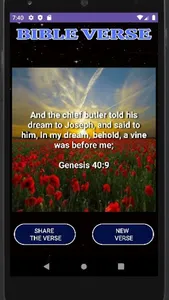 Bible Verse screenshot 4