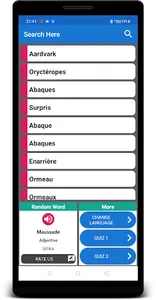 French To Malagasy Dictionary screenshot 1