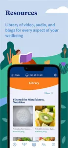 Clearhead screenshot 13