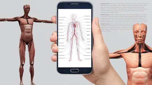 Human anatomy 3D : Organs and  screenshot 0