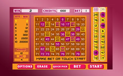 Keno Bingo screenshot 5