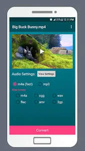 LiteC Video MP3 Audio Extract screenshot 1