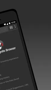 Puffin Incognito Browser screenshot 1