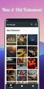 Audio Bible (Old and New Testa screenshot 1