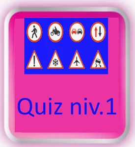 Quizz Code de la Route screenshot 19