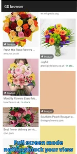 GD Browser - extreme privacy screenshot 2