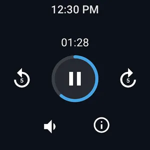 Easy Voice Recorder screenshot 11