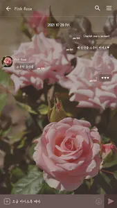 카카오톡 테마 - 매 순간 소중하게_핑크 로즈 screenshot 2