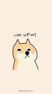 카카오톡 테마 - 뭘봐시바_시바 너 F야 screenshot 0