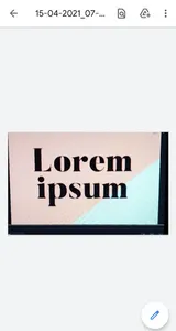 Rapid Scan screenshot 13