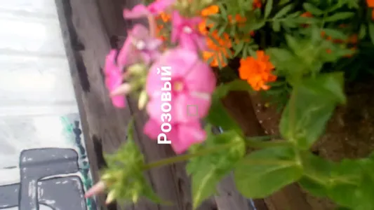 ColoredEye screenshot 0
