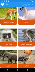 اجمل الحيوانات screenshot 2