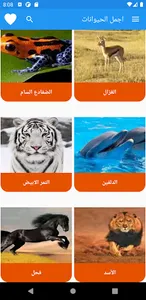 اجمل الحيوانات screenshot 4