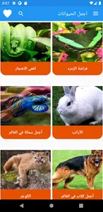 اجمل الحيوانات screenshot 6