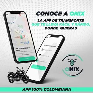 Onix Driver screenshot 0