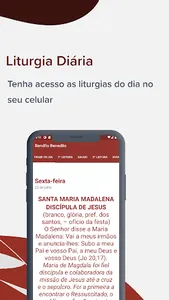 Bendito Benedito screenshot 3