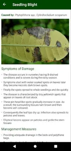Cashew Disease Management screenshot 3