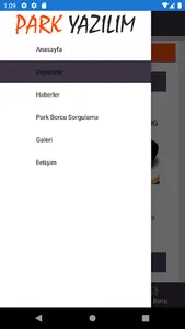Park Borcum screenshot 2