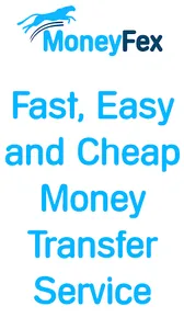 MoneyFex screenshot 7