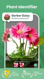 Blossom - Plant Identifier screenshot 0