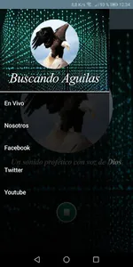 Buscando Aguilas screenshot 1