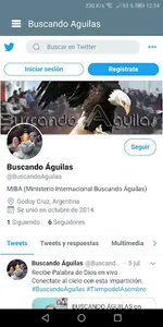Buscando Aguilas screenshot 4