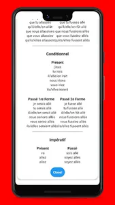 French Conjugaison screenshot 11