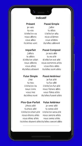 French Conjugaison screenshot 3
