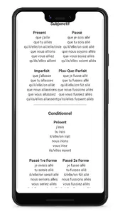 French Conjugaison screenshot 4