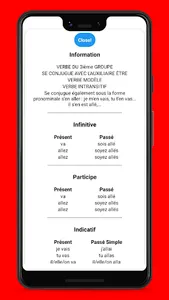 French Conjugaison screenshot 8