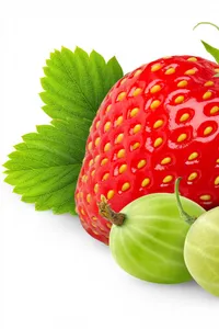Berry Handbook screenshot 0