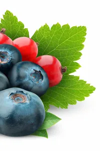 Berry Handbook screenshot 2