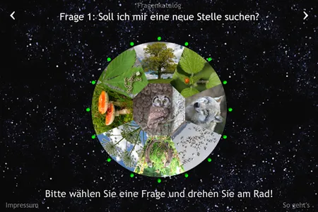 Orakel-Rad Erfolg screenshot 5