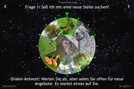 Orakel-Rad Erfolg screenshot 6