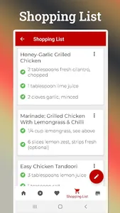 Barbecue Grill Recipes screenshot 5