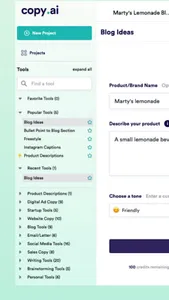 CopyAI Explanation screenshot 5